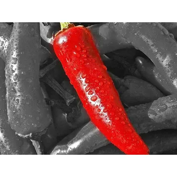 Omáčka Rolled Baits Oleoresin Chilli Balení: 25 ml