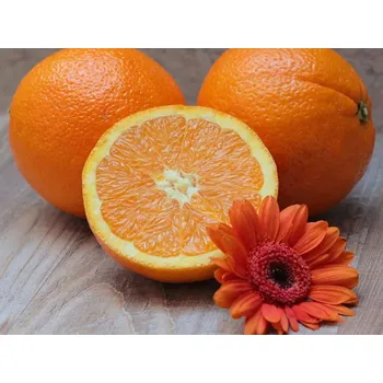 Rolled Baits Esenciální olej Pomeranč Balení: 10 ml