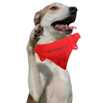 Obleček pro psa Bavlněný šátek s potiskem Love Velikost: XS, Vzor: 2+ barva potisku bílá, Barva: tyrkysová