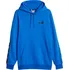 Pánská mikina PUMA Essentials Plus Tape Hoodie 849040-47