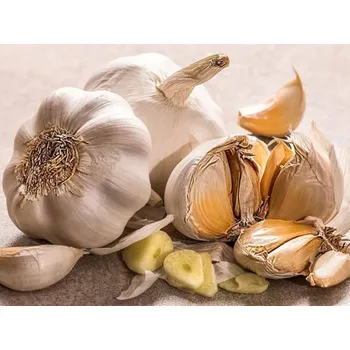 Rolled Baits Esenciální olej Česnek Balení: 10 ml