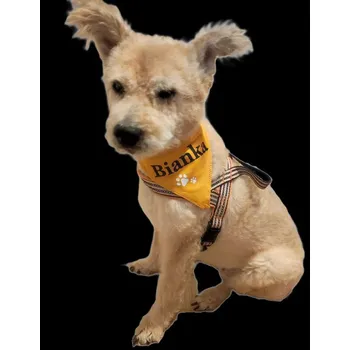 Obleček pro psa Bavlněný šátek se jménem a tlapkou Velikost: XS, Barva: světle zelená