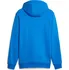 Pánská mikina PUMA Essentials Plus Tape Hoodie 849040-47