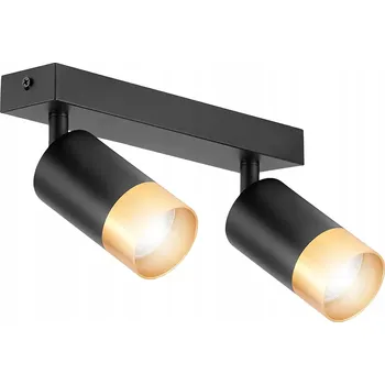 Závěsné svítidlo LEDLUX stropní svítidlo spot 2 - světelný bod GU10