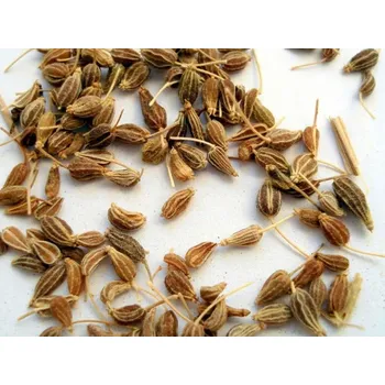 Vonný olej Rolled Baits Esenciální olej Anýz Balení: 100 ml