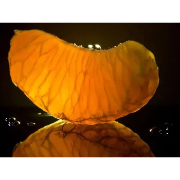 Vůně do bytu Rolled Baits Esenciální olej Mandarinka Balení: 25 ml