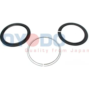 Čep nápravy OYODO Těsnicí kroužek, čep nápravy 30P1019-OYO