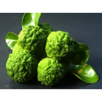 Rolled Baits Esenciální olej Bergamot Balení: 10 ml