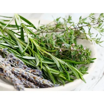 Rolled Baits Esenciální olej Tymián Balení: 10 ml