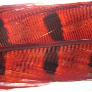 Umělá nástraha HENDS PHEASANT TAIL - ČERVENÁ PT08