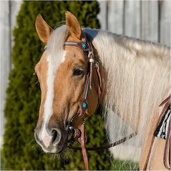 Uzdečka westernová LproWest Nashville velikost FULL