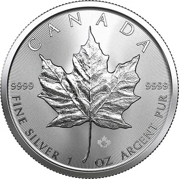 Royal Canadian Mint Canadian Maple Leaf stříbrná mince 1oz 2019