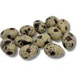 Dekorace-Vejce křepelka