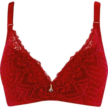 Podprsenka Nila luxusní podprsenka krajka push-up 5521 80B vínová