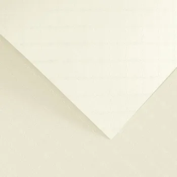 Vizitkový papír Papír na vizitky A4 220g 204501 Elegantní, bílý