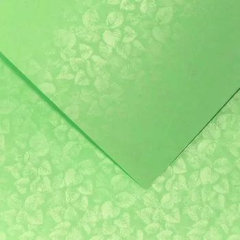 Papír Papír na vizitky A4 250g 203607 Listí, sv.zelené