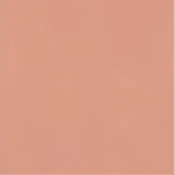 Dlažba PARADYZ NEVE CREATIVE 3552304 10 x 10 x 0,8 růžová 1,27 m2