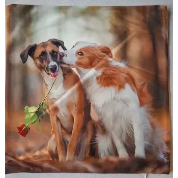 Povlak na dekorativní polštářek Povlak na polštářek Zamilovaní