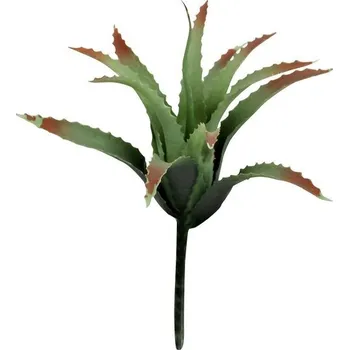 Teraristika Lucky Reptile-Sukulenty Tillandsia, cca 17 cm bez základny