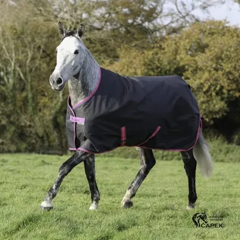 Jezdectví Výběhová deka Bucas -FREEDOM TURNOUT LIGHT PONY 0G- - Spicy Pink - 105cm