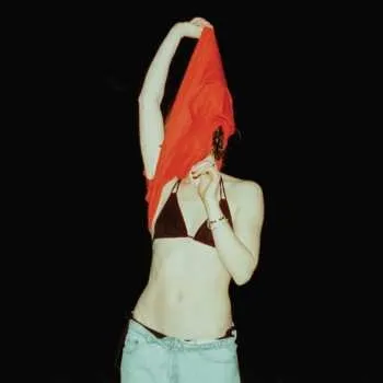 Hudba LP Ana Shoemaker: Someone Should Stop Her 2025