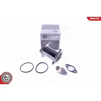 Sada na opravu, ventil AGR ESEN SKV 14SKV582