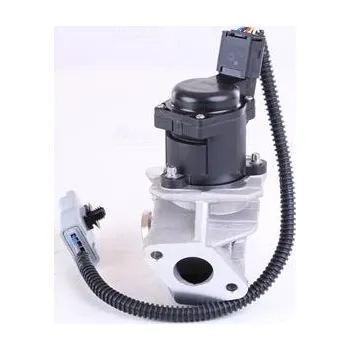 Ventil palivového systému AGR-Ventil NISSENS 98244