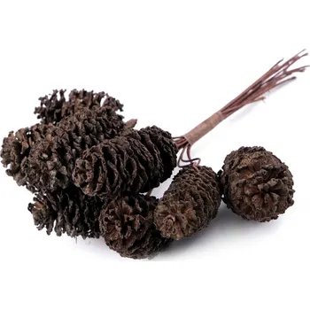 umělá květina Přírodní šišky na drátku - hnědá (8 ks) - VÝPRODEJ