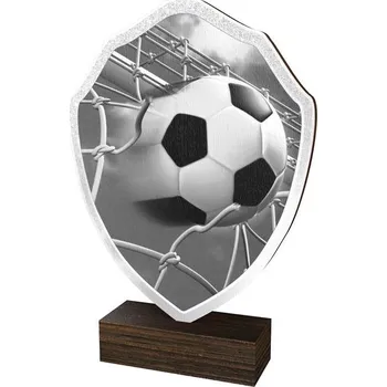 Poháry Bauer Dřevěná plaketa TFRW310 | Fotbal