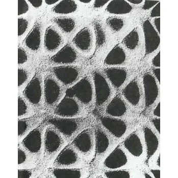 Zahraniční hudba 2LP Guy Blakeslee: Extravision 2024