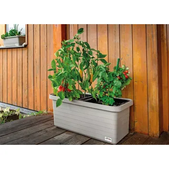 Truhlík Pilný truhlík Berberis XL DUO