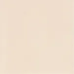 PARADYZ NEVE CREATIVE 3552854 10 x 10 x 0,8 béžová 1,27 m2