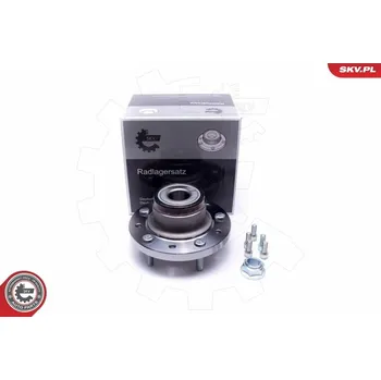 Sada ložisek kol ESEN SKV 29SKV305