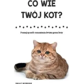 Co wie Twój kot? Poznaj sposób rozumienia świata.. - Sally Morgan