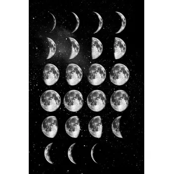 Plakát Plakát, Obraz - Full Moon Cycle, Brett Wilson