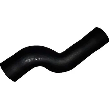 Auto-moto Hadička plnicího vzduchu BUGIAD 88823