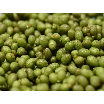 Návnadové aroma Rolled Baits Oleoresin Zelený Pepř Balení: 100 ml