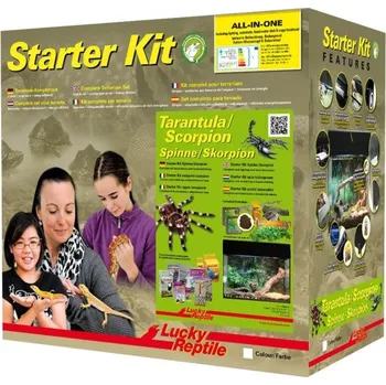 Terárium Lucky Reptile Starter Kit Tarantula + Scorpion 50x28x40 cm bílé