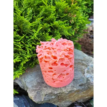 Svíčka Svíčka - houba