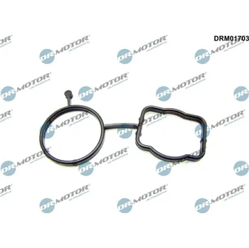 Těsnění motoru Těsnění, pouzdro termostatu Dr.Motor Automotive DRM01703