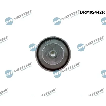 Ventil motoru Ventil, přívod vzduchu (nasávaný vzduch) Dr.Motor Automotive DRM02442R