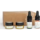 Anela Krásná problematická pleť (mini) malá dárková sada pro hydrataci a výživu mastné a problematické pleti (č. 14 mini)