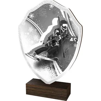 Poháry Bauer Dřevěná plaketa TFRW283 | Sjezdové lyžování