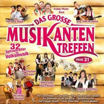 Zahraniční hudba CD Various: Das Große Musikantentreffen Folge 31 2012
