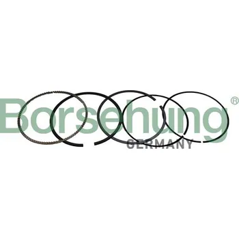 Píst motoru Sada pístních kroužků Borsehung B10372