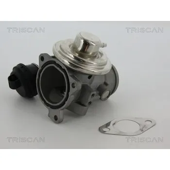 Ventil palivového systému AGR-Ventil TRISCAN 8813 29057