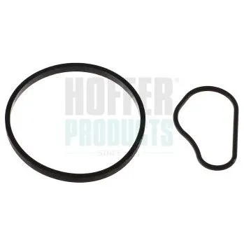 Vakuové čerpadlo Těsnění, vakuové čerpadlo HOFFER 91252