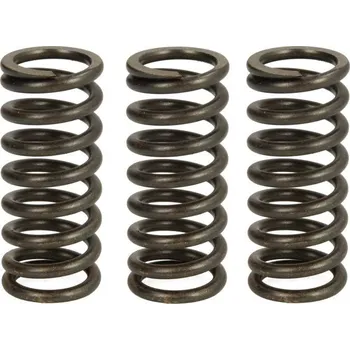 Spojkové pružiny DUCATI 1262 XDiavel rok 16-20
