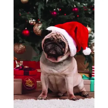 Boxerky Pánské boxerky John Frank JFBD45