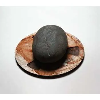 Zahraniční hudba LP Erland Cooper: Carve The Runes Then Be Content With Silence 2024